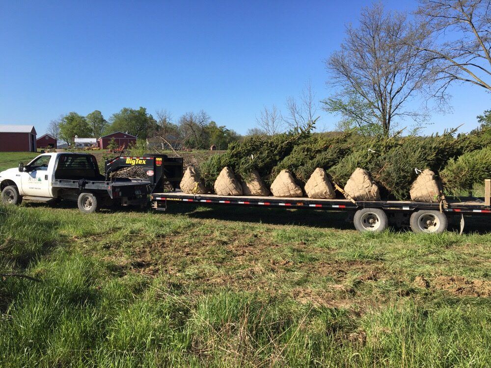 Landscaping  Services Oxford Mi