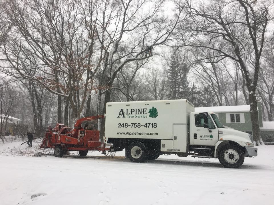 Alpine Tree Service Oxford MI