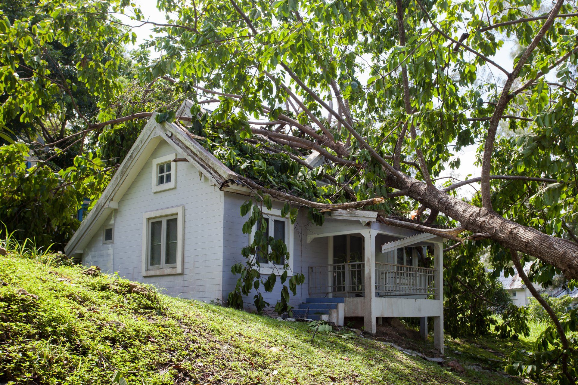 Emergency Tree Service Oxford