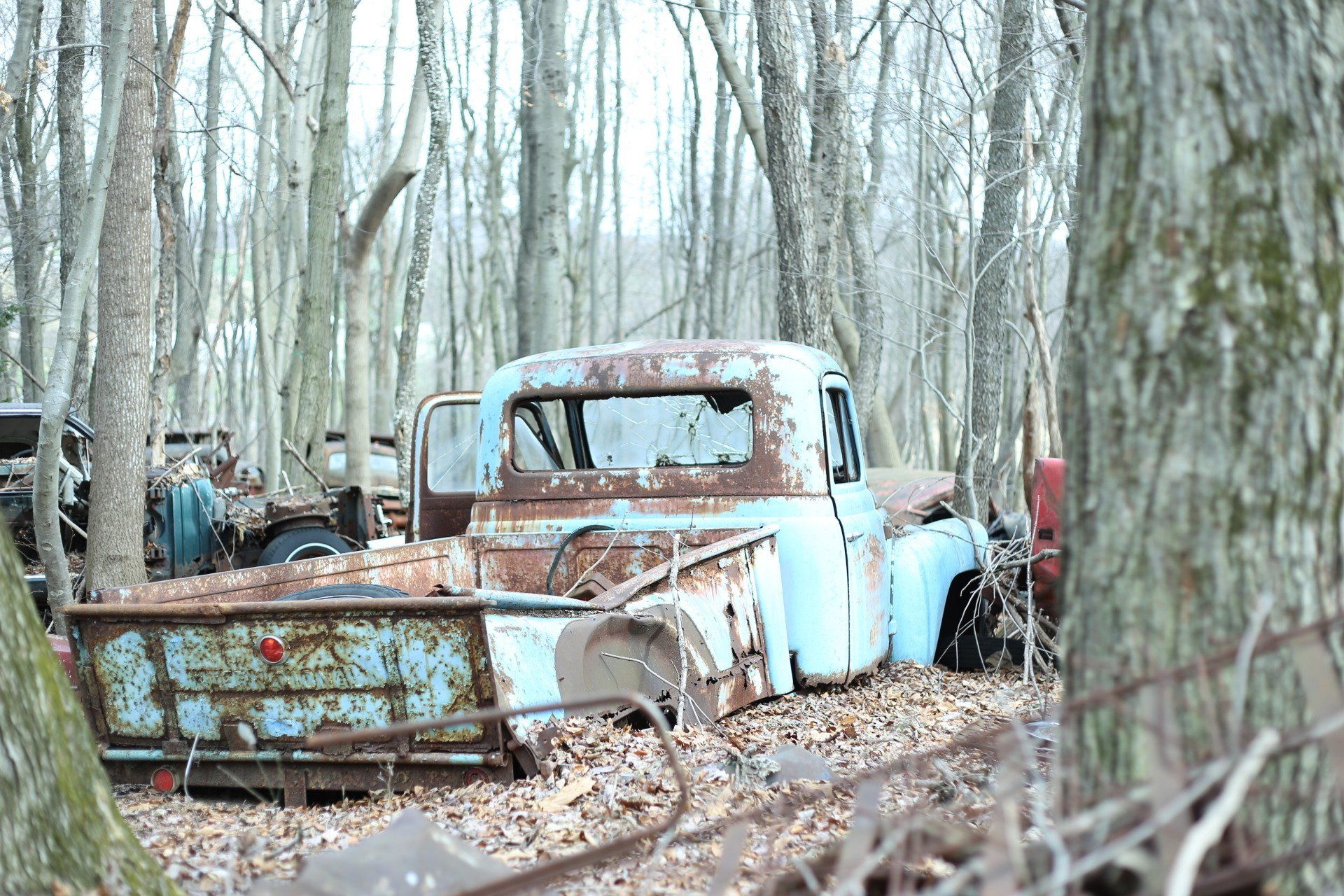 restorable, jen mininger photography, layered photography, hope, healing, recovery, therapy