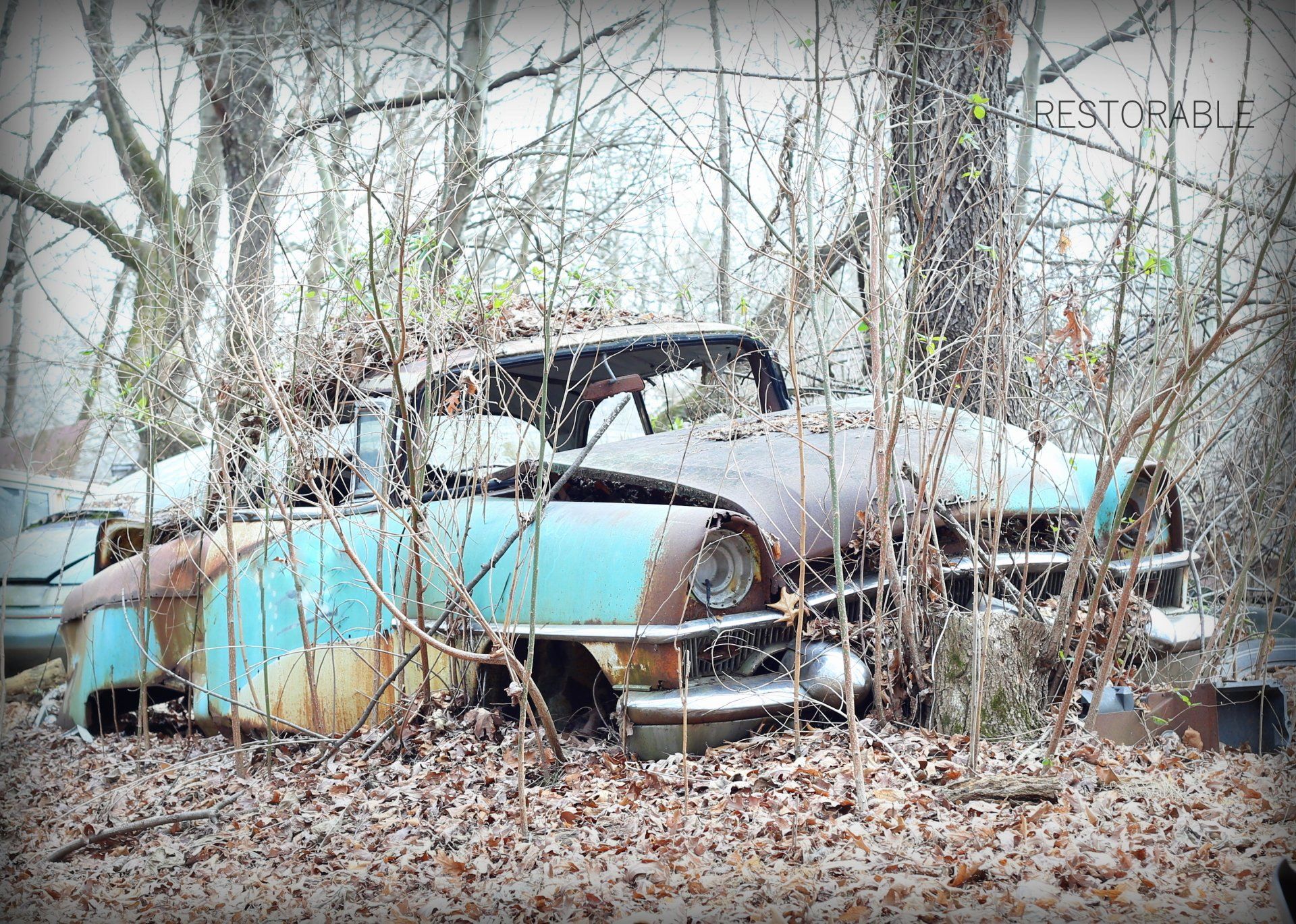 Jen Mininger Photography, restorable