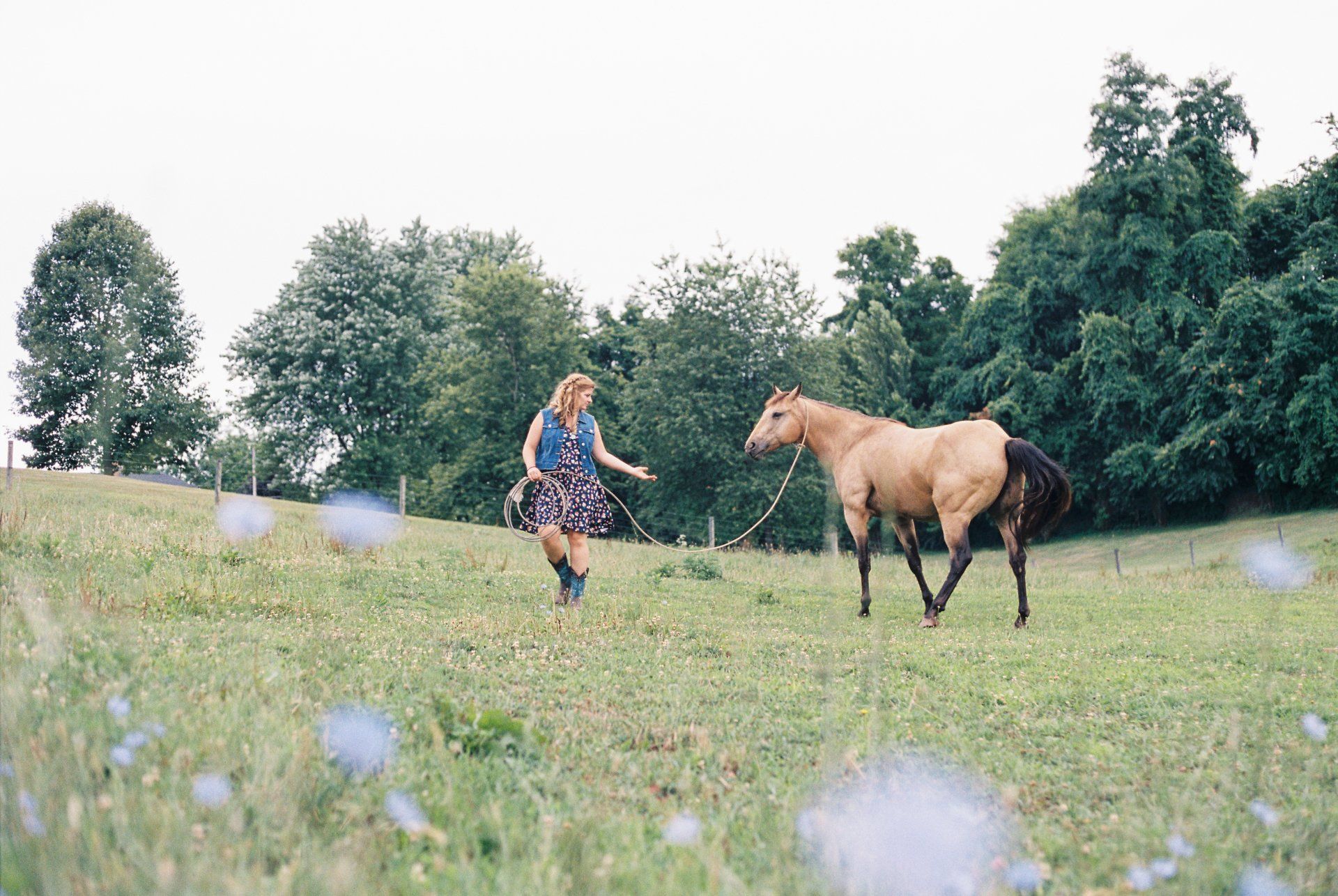 counseling, equine assisted therapy, hope, healing, horses