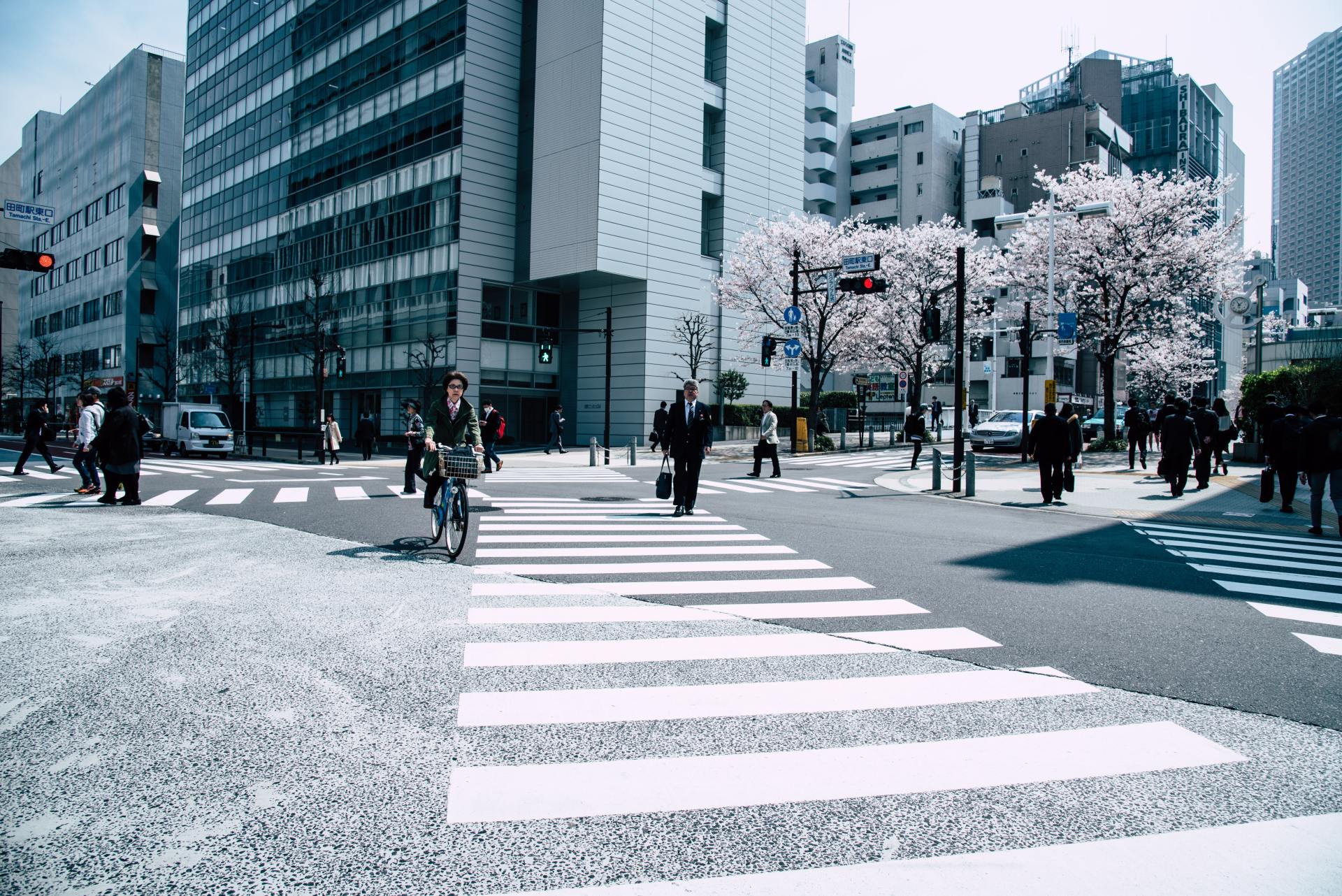 Pedestrian Lane