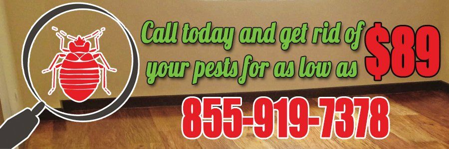 pest control lead generation