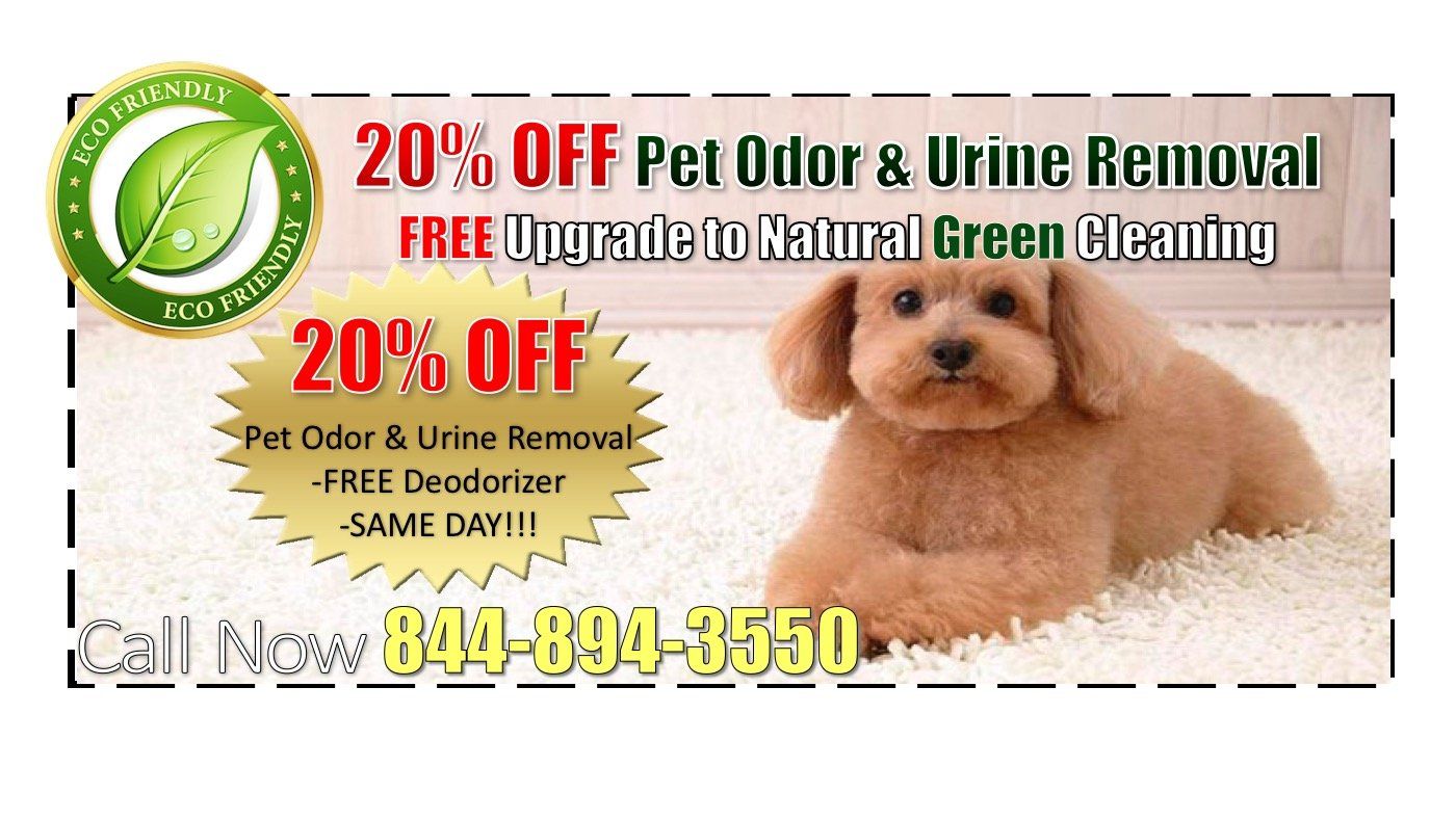 carpet cleaning lead generation coupons