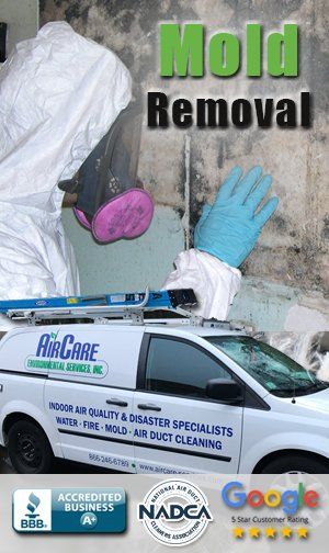mold testing marketing
