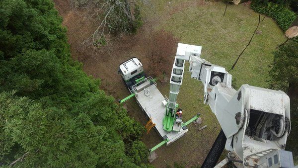 aerial view of crane
