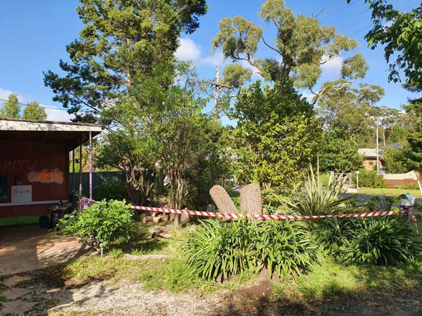Garden scene with trees, bushes, and a building; red and white tape surrounds two tree stumps on the lawn.