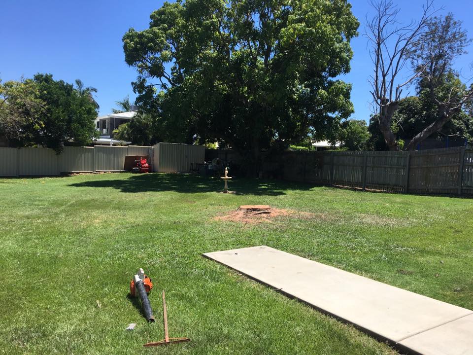 Stump Revomal On Lawn — Arborist in Yeppoon, QLD