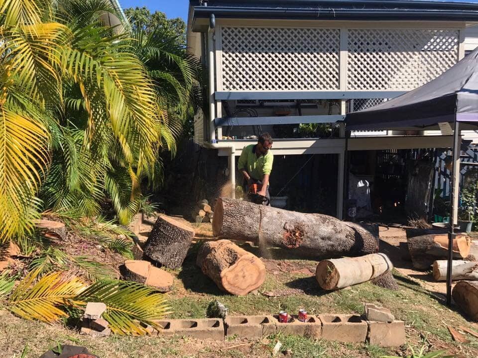 Worker Cutting Tree Trunk — Arborist in Yeppoon, QLD