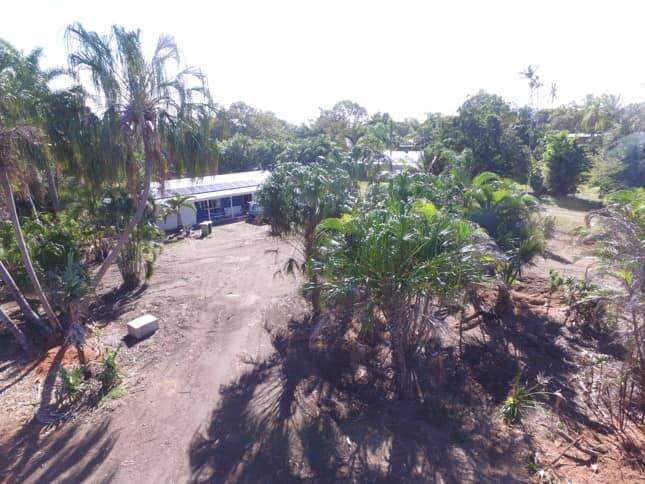 Trees And Home — Arborist in Yeppoon, QLD