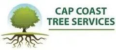 Tree Removals in Rockhampton Tree Removals in Rockhampton