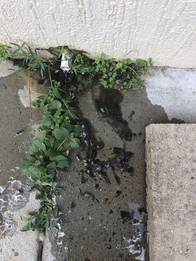 Dirts — Air Conditioner Cleaning In Cairns, QLD A Drain on the Side of a Building With Plants Growing Out of It — Air-Con Cleaning Specialists in Redlynch, QLD