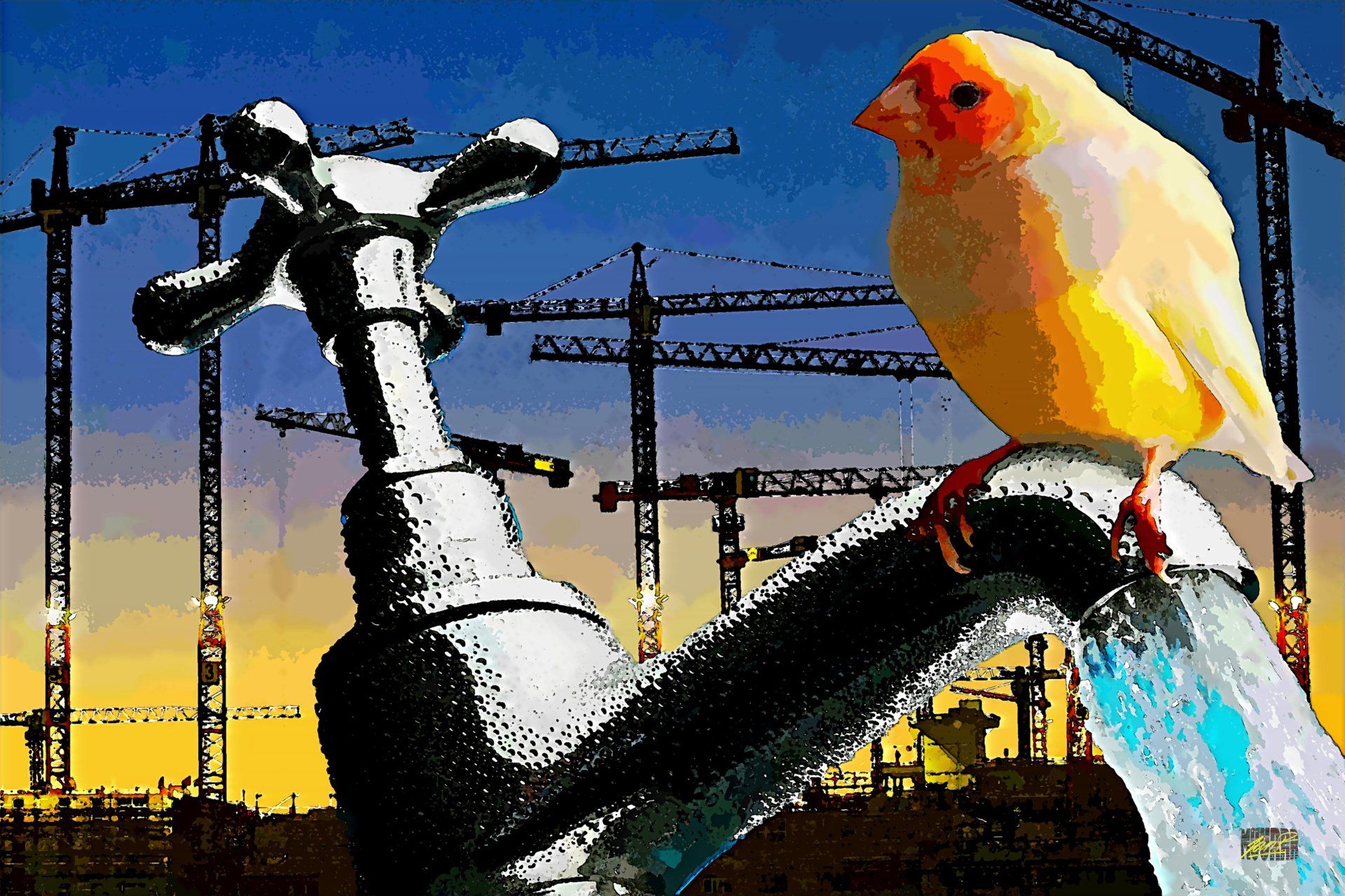 Kraanvogel wand