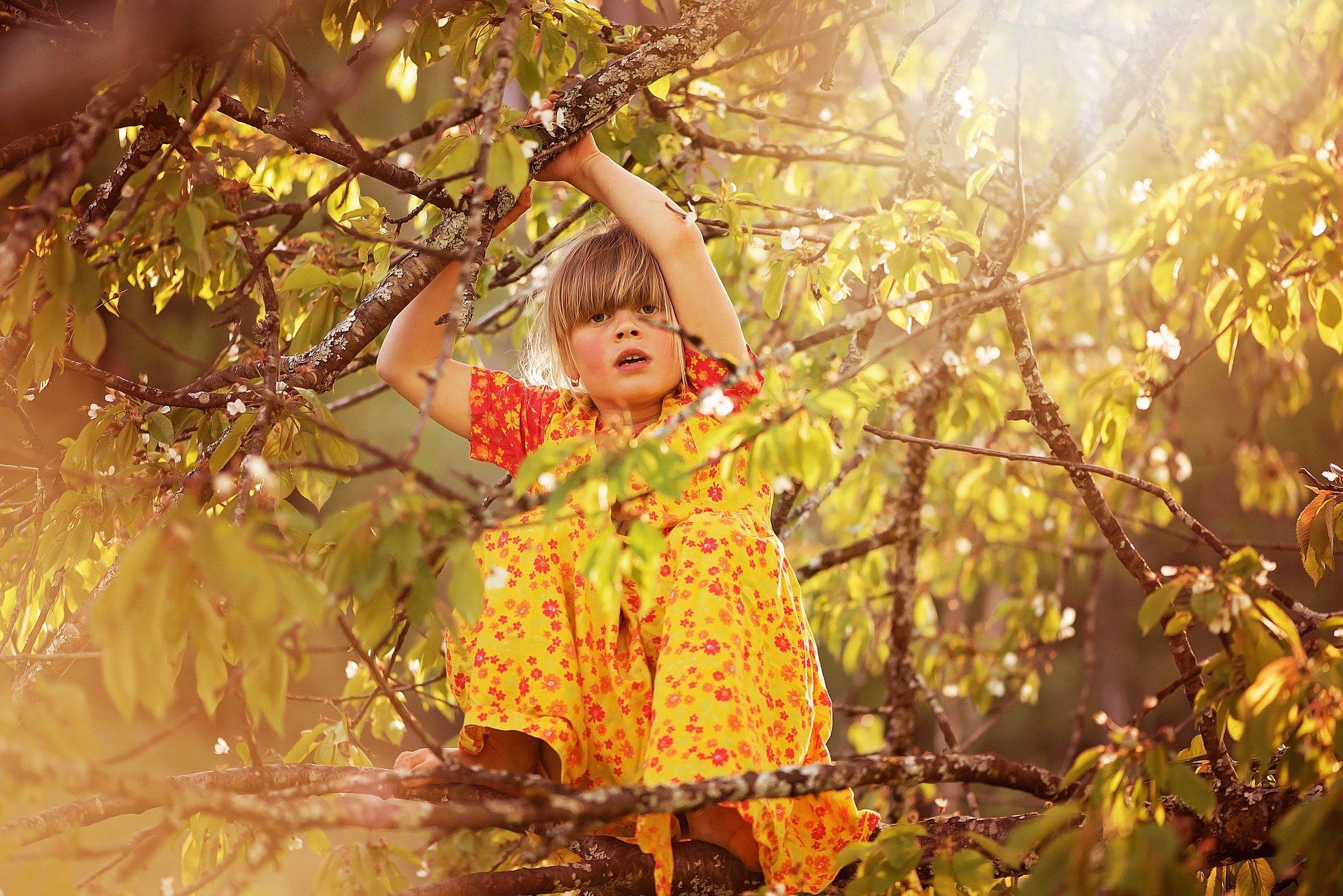 De Kindbehartiger is een professional die kinderen van gescheiden ouders ondersteunt. De Kindbehartiger staat naast het kind en helpt hem om zijn wensen en behoeften in kaart te brengen. Ook biedt de Kindbehartiger kinderen een luisterend oor, legt uit wat er tijdens een scheiding gebeurt en beantwoordt vragen die bij kinderen leven. De Kindbehartiger maakt een vertaalslag naar ouders van wat hun kind nodig heeft en adviseert over de ontwikkeling van kinderen en hun belangen.
Op deze website kunnen zowel ouders, kinderen als professionals meer informatie vinden over wat de Kindbehartiger kan betekenen in een scheidingssituatie.