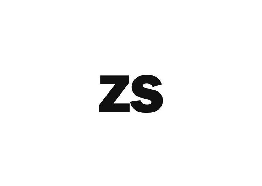 zs construction