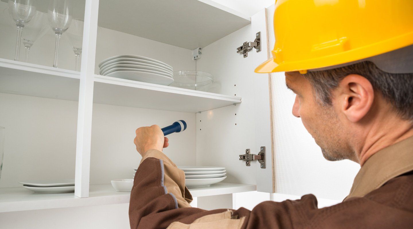 Pest control done in shelves