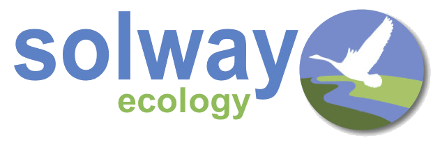 Solway Ecology Ecological consultants Scotland, Solway Ecology Limited. Ecological Consultants North of England.