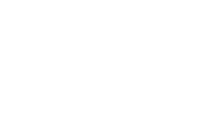 Tesla Logo