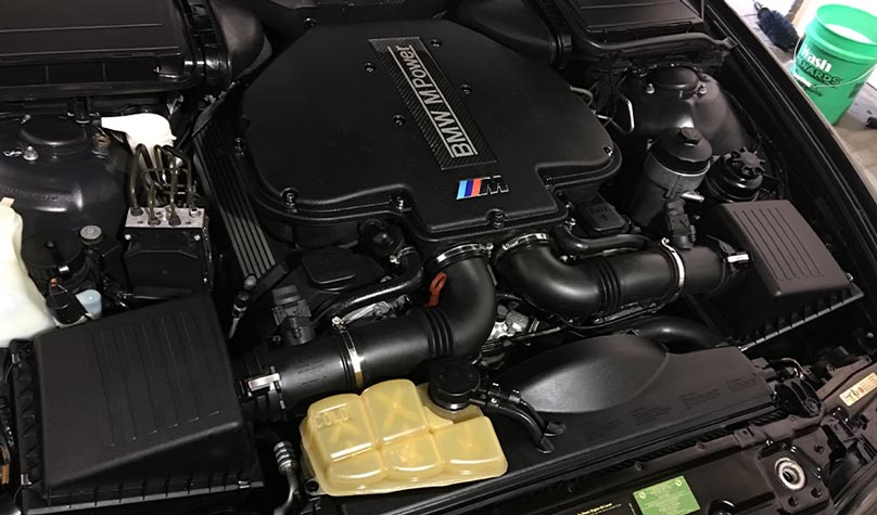 Dressed and Cleaned Engine Bay BMW M5