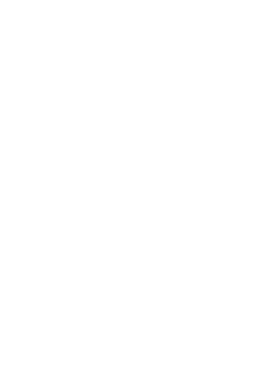 Tesla Logo