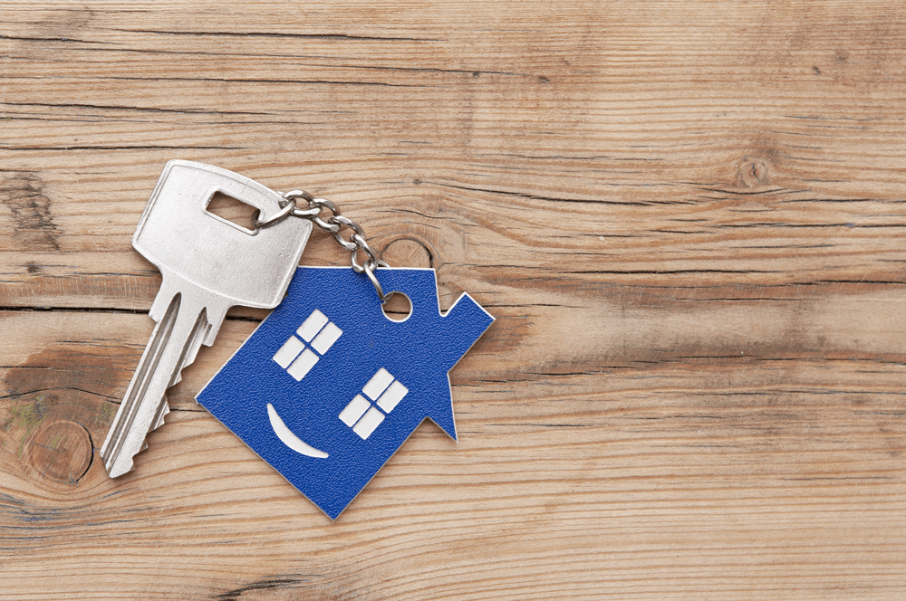Homeowner-Termite-Inspection