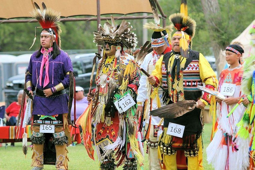 Participants in colorful regalia and feathered headdresses standing in a line outdoors at a powwow.