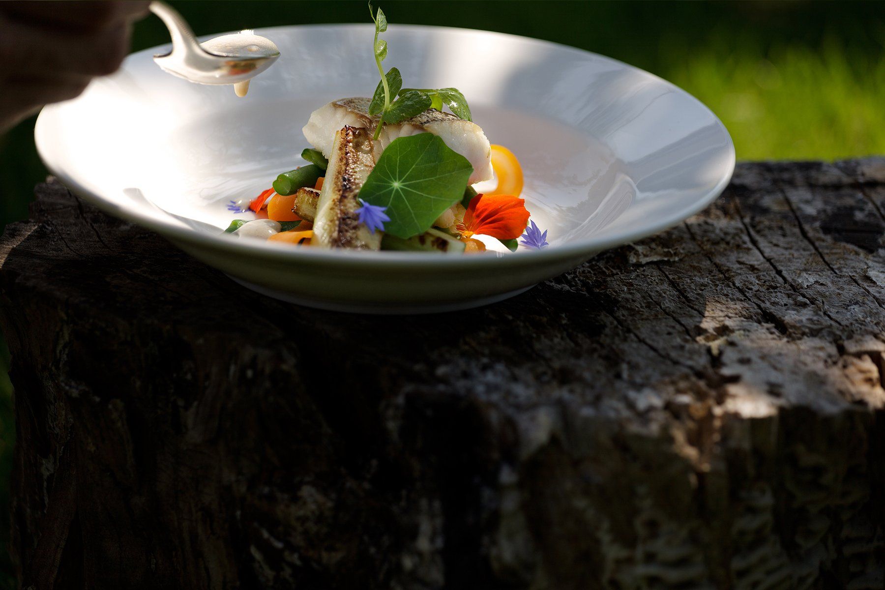 Een bord met een gastronomisch visgerecht, versierd met een lepel, staat buiten op een boomstronk.