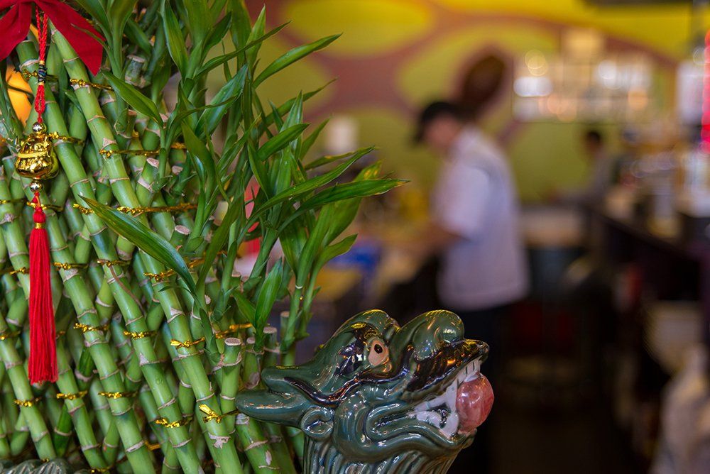 Lucky bamboo and Japanese décor at Volcano Steak & Sushi