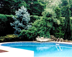 Gallery - K & S Landscape Contractors in Howell, NJ