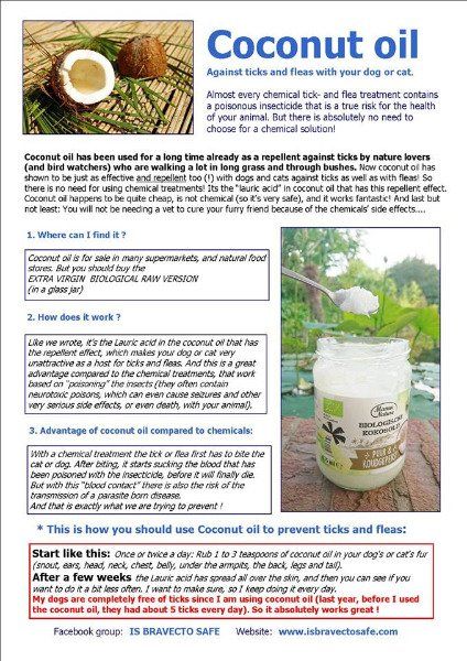 Coconut oil - natural repellent against ticks and fleas Coconut oil - natural repellent against ticks and fleas
