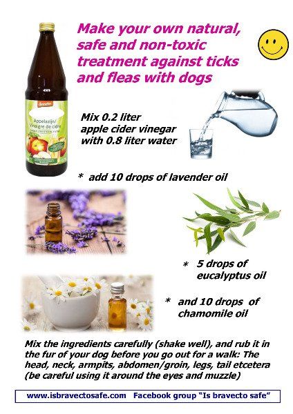 Receipe for safe natural tick and flea treatment Receipe for safe natural tick and flea treatment