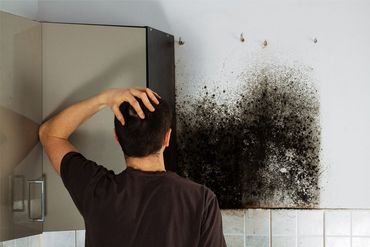 Product Liability