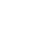 Icona – Professionalità