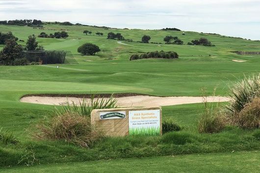 golf course grass