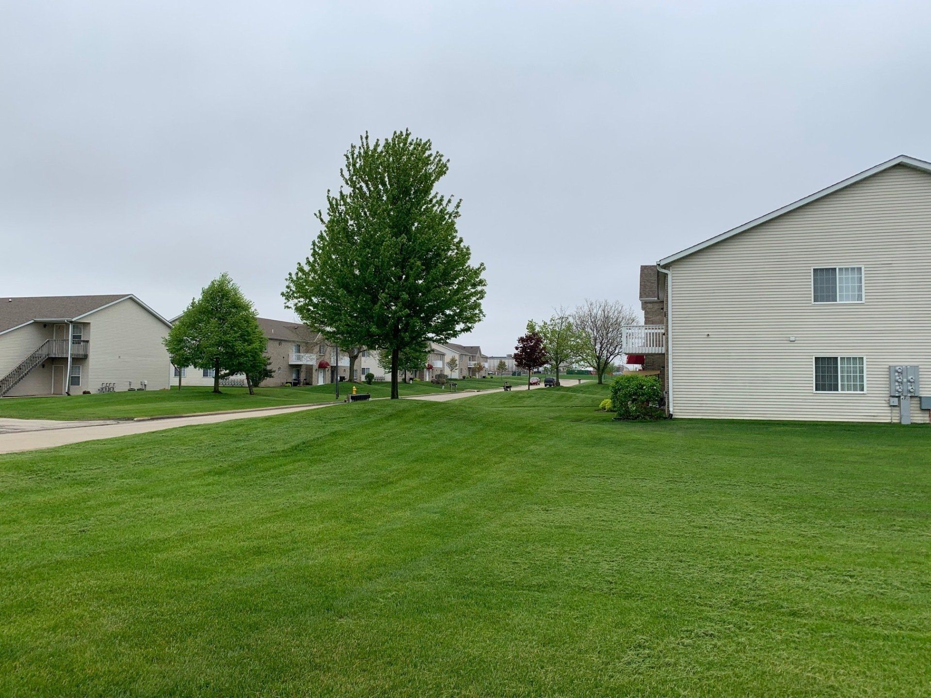 A lush green lawn in front of a row of apartment buildings.