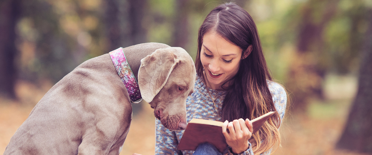 Pet Sitting & Pet visits