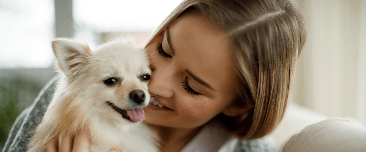 Pet Sitting & Pet visits