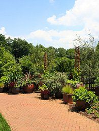 Landscaping Services Southport, NC