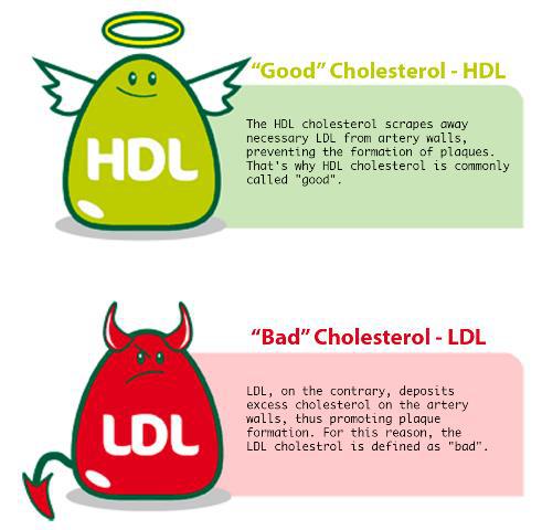 cholesterol