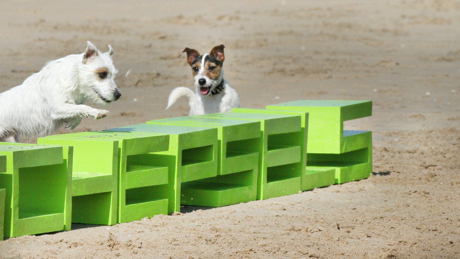 dierenmarketing