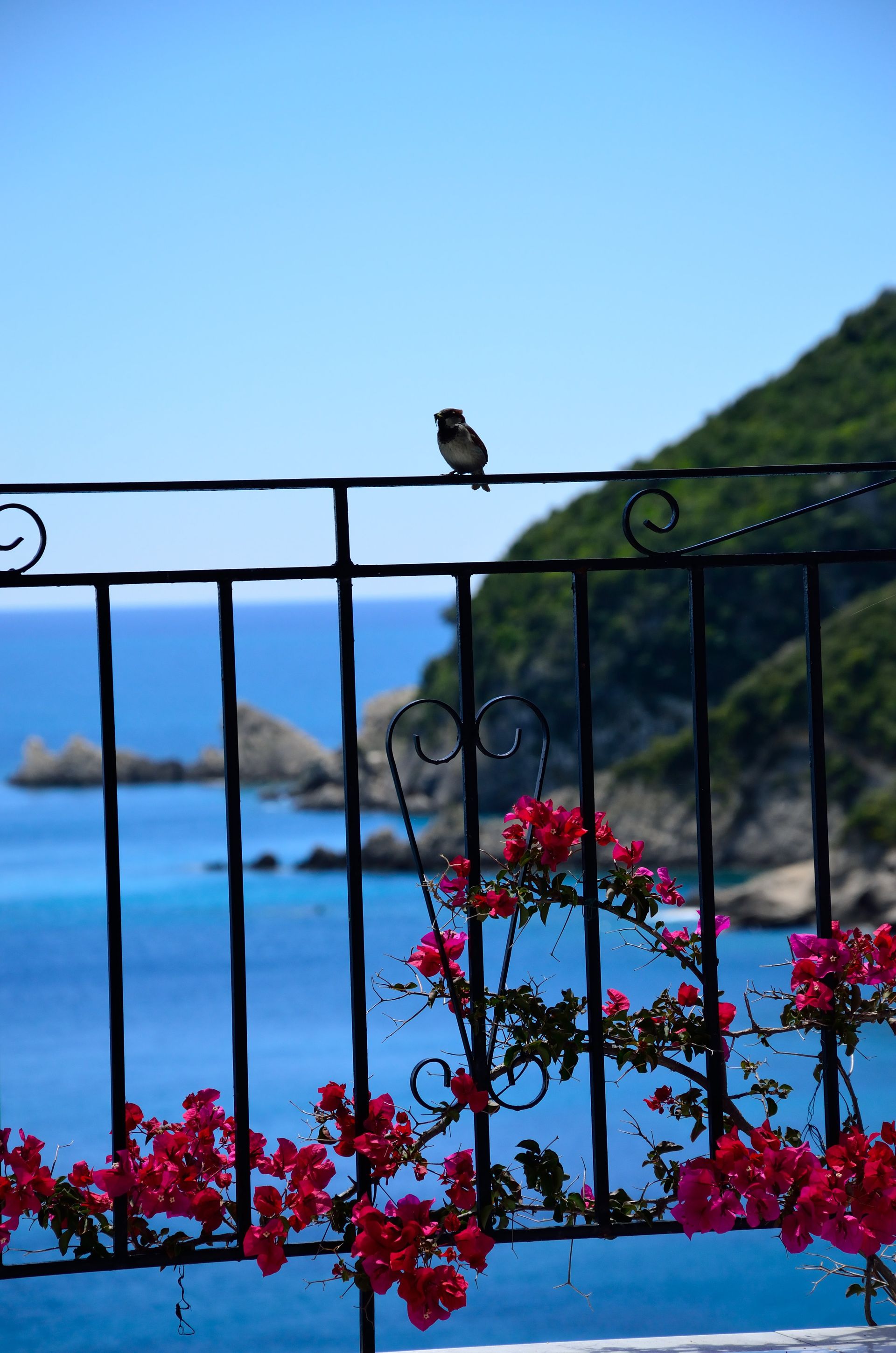view