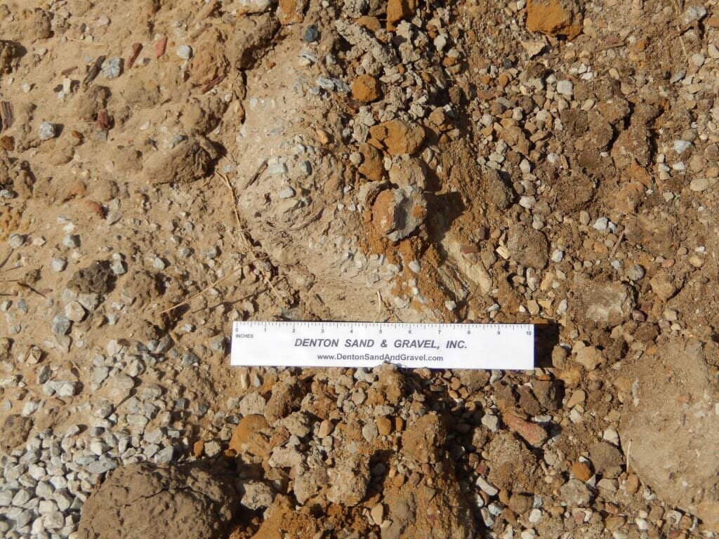 Ground surface with soil, gravel, and a white ruler; brown and beige tones.