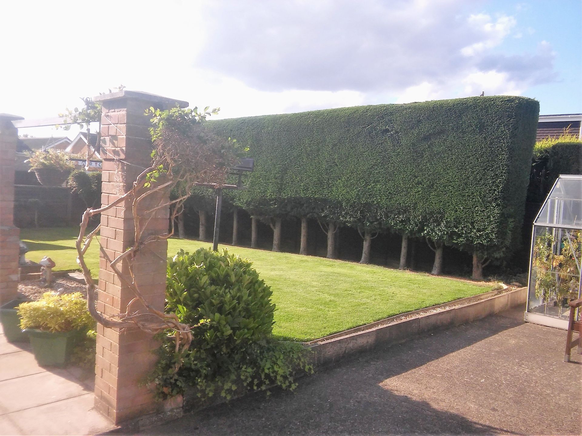 Cut Hedge