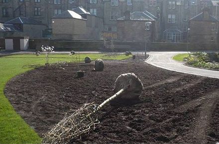 Landscaping