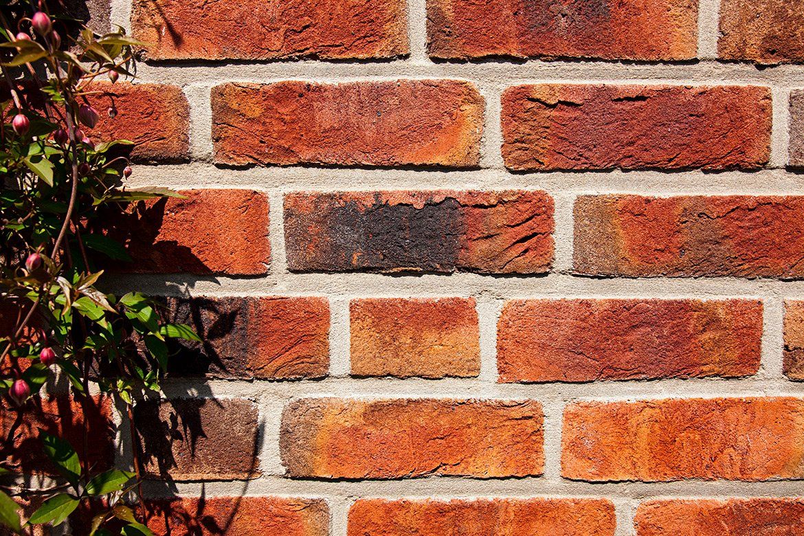 Close-up of a weathered red brick wall with gray mortar and some green vines on the left.