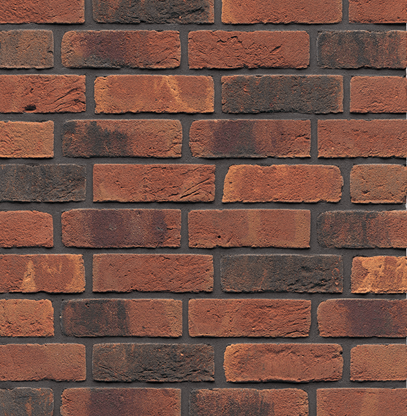 Close-up of a brick wall with red and dark brown bricks, with dark mortar between.