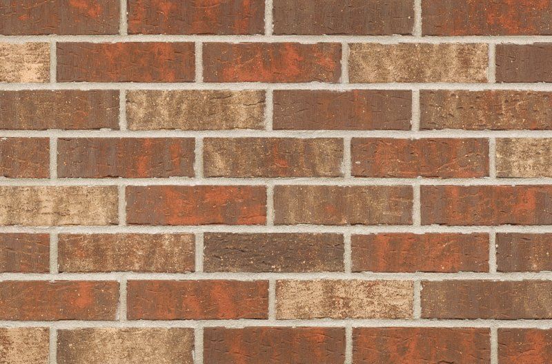 Brick wall with varied red, brown, and tan bricks, white mortar joints.
