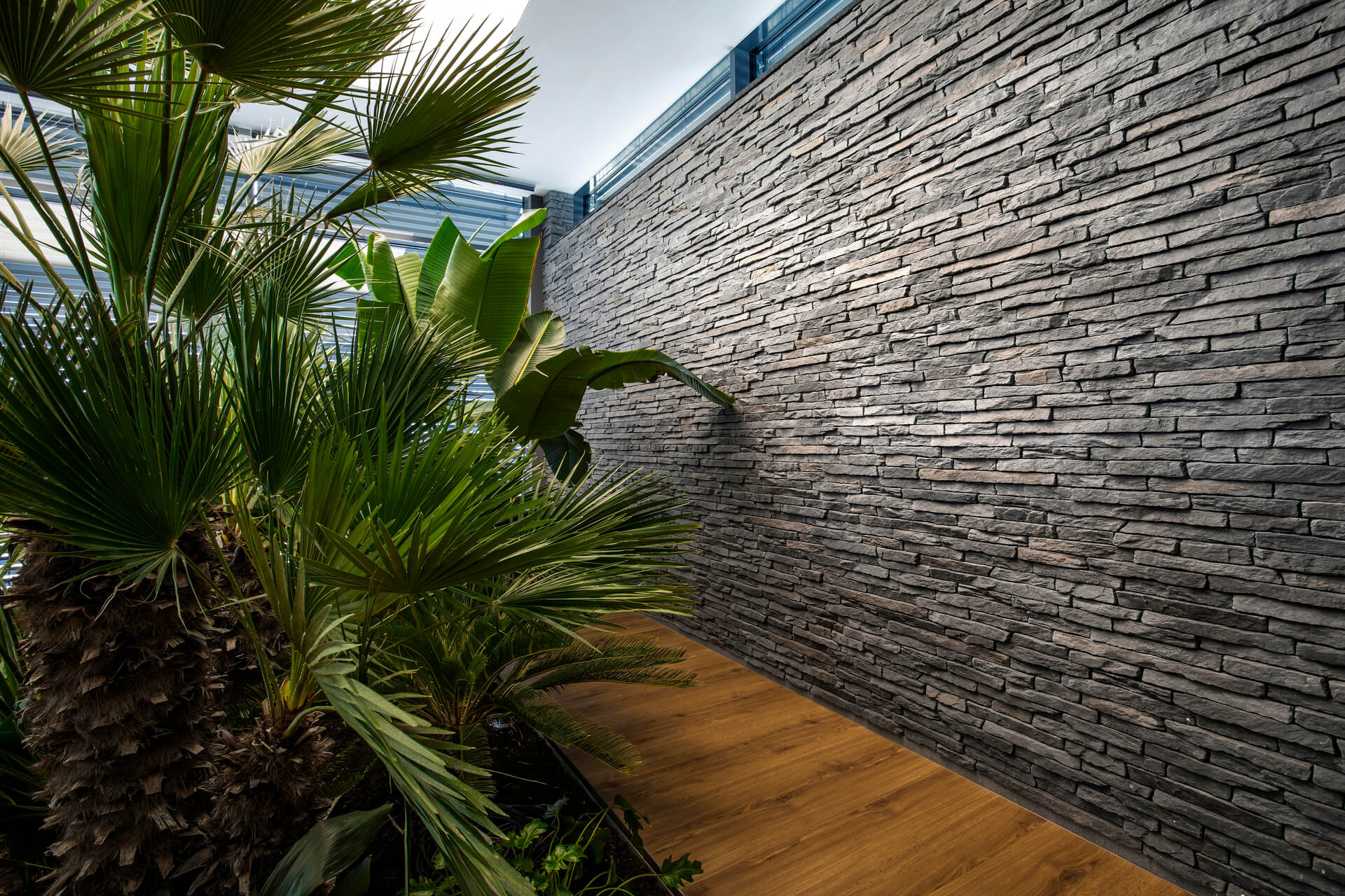 Palm trees frame a wooden walkway alongside a gray stone wall, leading towards an unseen area.