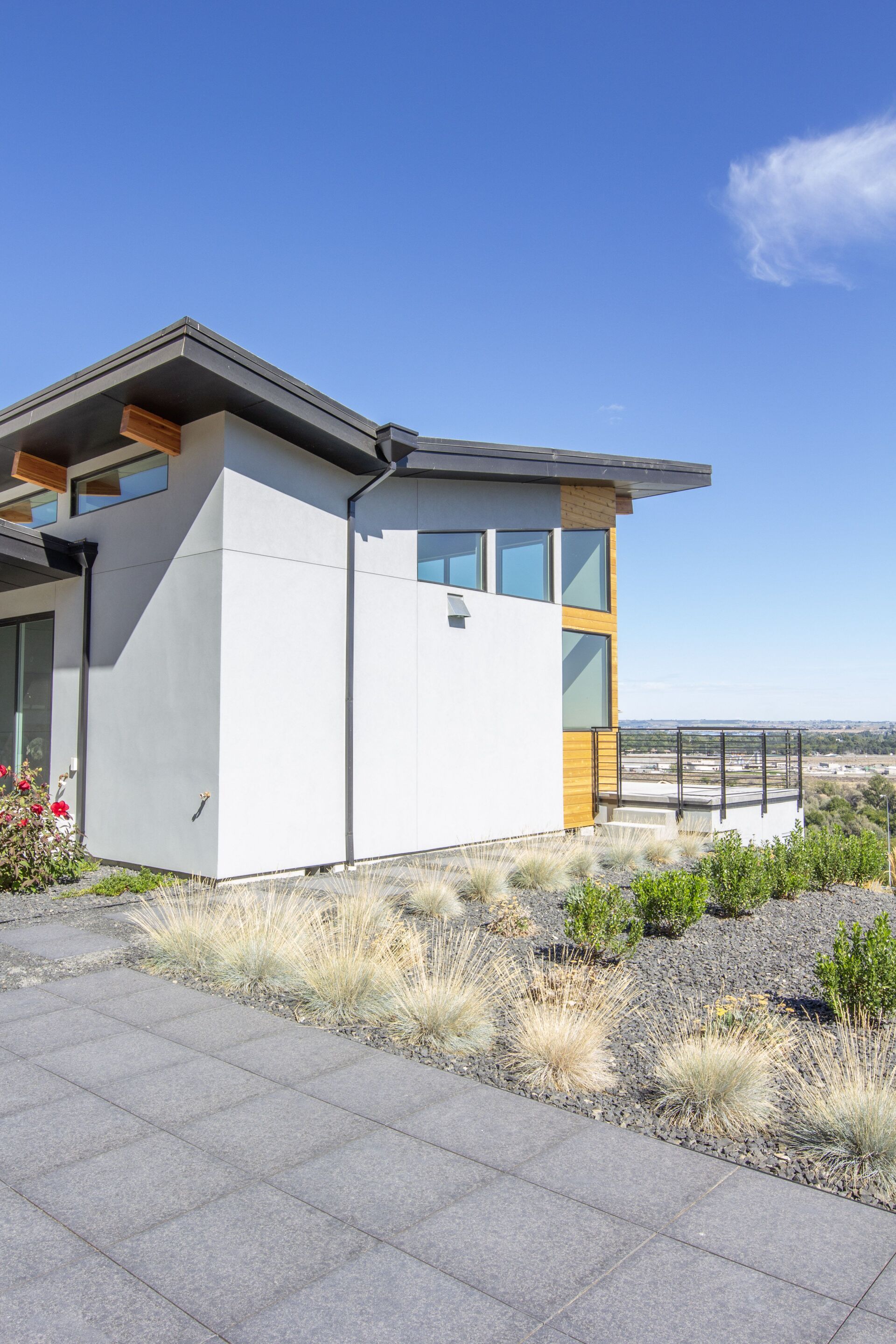 A white house with a wooden door is sitting on top of a hill.